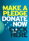 Donate Now!