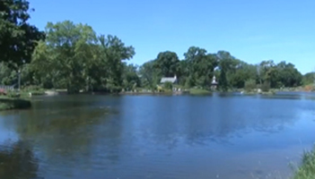 Wellfield Botanical Gardens Photo