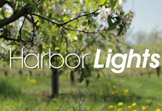 Harbor Lights Series 3 Image