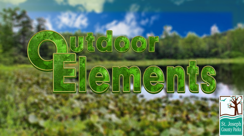 Show Thumbnail