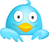 The Twitter Bird