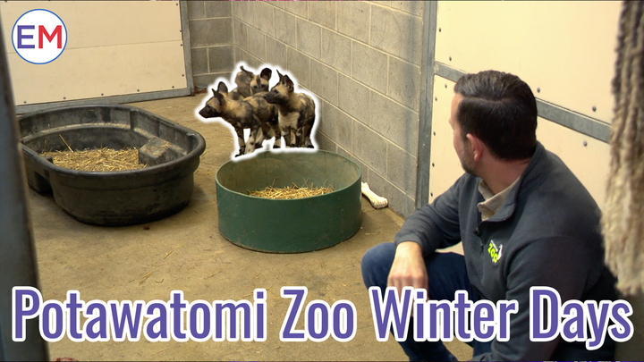 Introduction Thumbnail