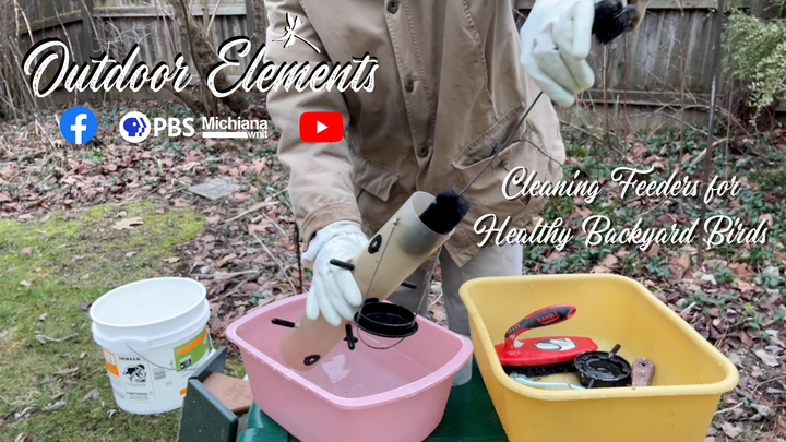 Cleaning Feeders for Healthy Backyard Birds Thumbnail