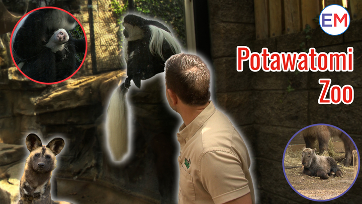 Potawatomi Zoo Thumbnail