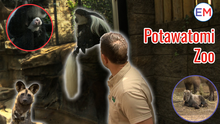 Closing Thumbnail