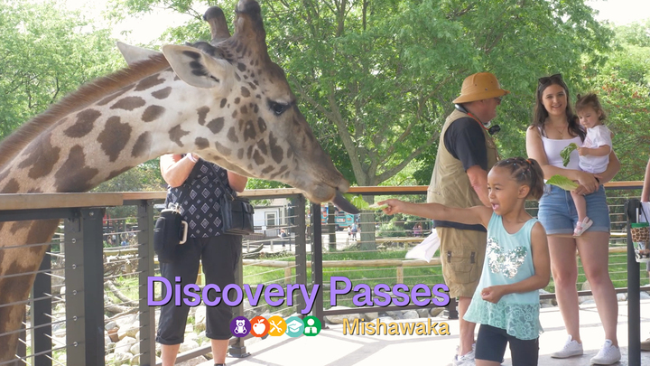 Discovery Passes Thumbnail