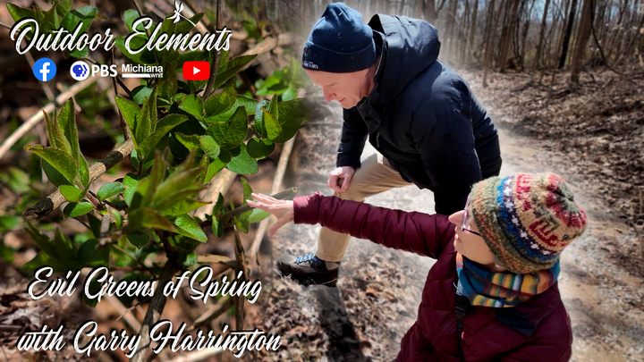 Evil Greens of Spring with Garry Harrington Thumbnail