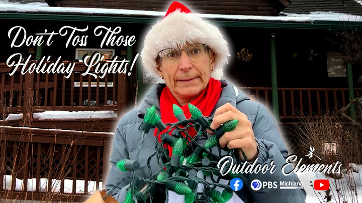 Don't Toss Those Holiday Lights! | OE Thumbnail