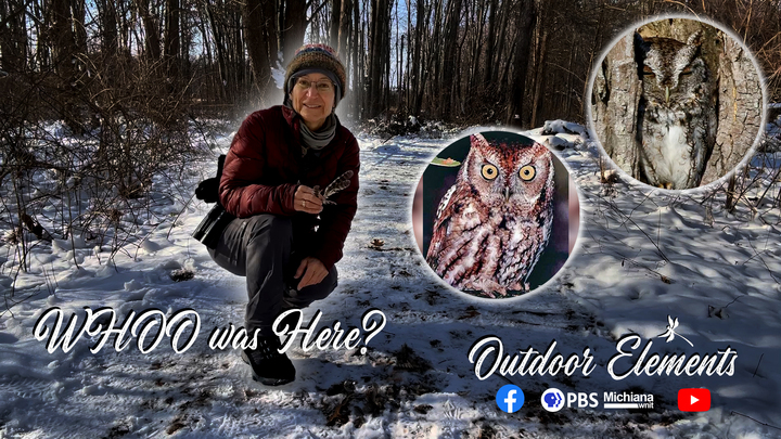 WHOO was here? Thumbnail