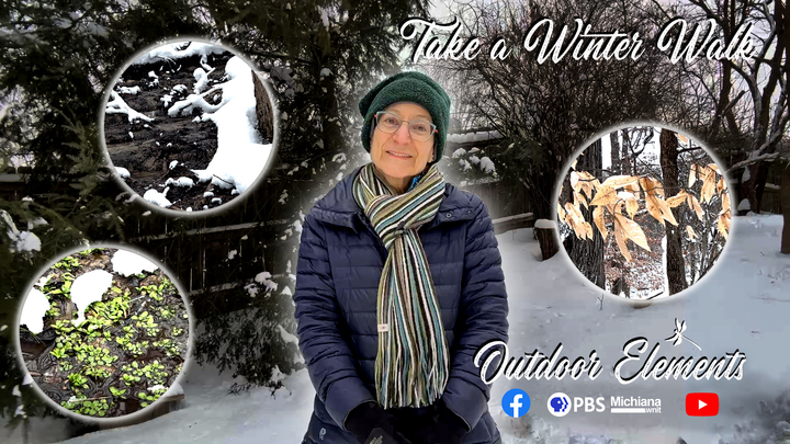 Take a Winter Walk Thumbnail