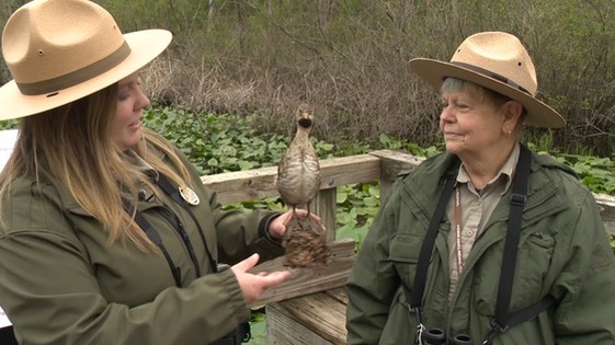 Indiana Dunes Birding Festival Photo