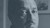 Becoming Thurgood Americas Social Architect