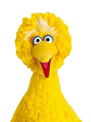BIG BIRD