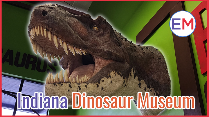 Indiana Dinosaur Museum Thumbnail