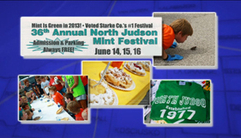 Mint Festival Thumbnail