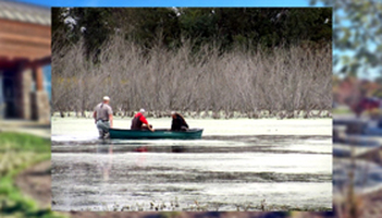 Trivia: Natural Resources Thumbnail
