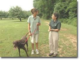 Outdoor Etiquette Photo