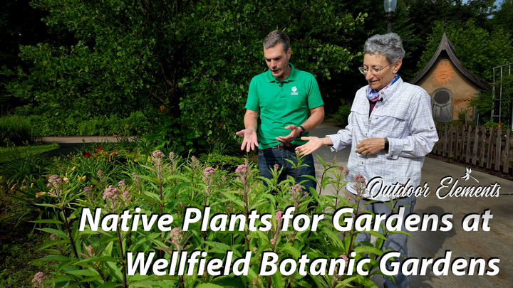 Native Plants for Gardens at Wellfield Botanic Gardens Thumbnail