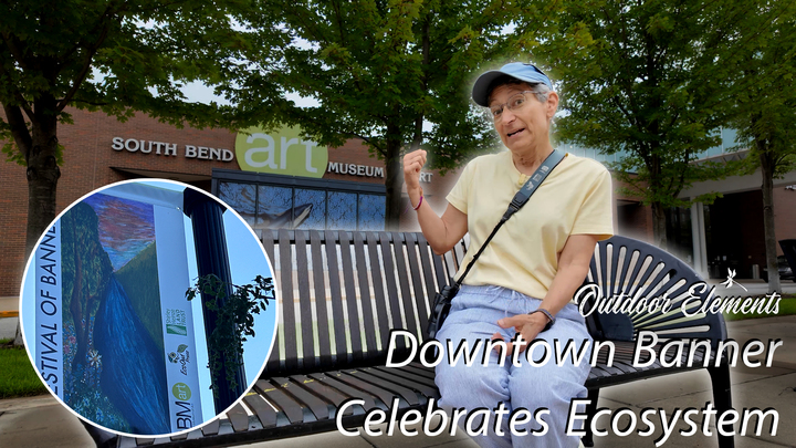 Downtown Banner Celebrates Ecosystem Thumbnail