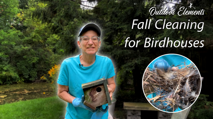 Fall Cleaning for Birdhouses Thumbnail