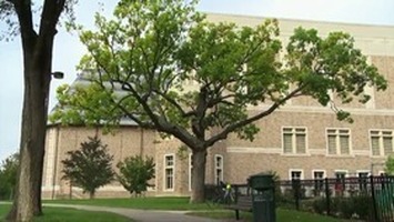 Nature Through a Historical Lens Photo