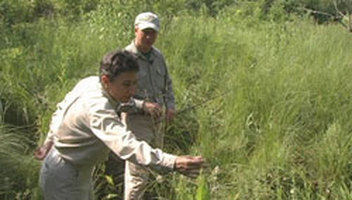 Wildlife and Habitat Management Photo