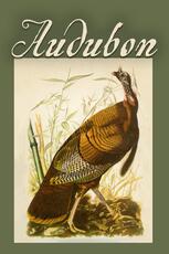 Audubon