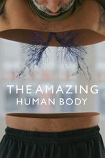 The Amazing Human Body