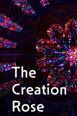 The Creation Rose