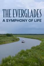 The Everglades: A Symphony of Life