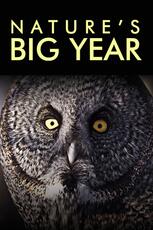 Nature's Big Year