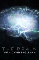 The Brain with David Eagleman