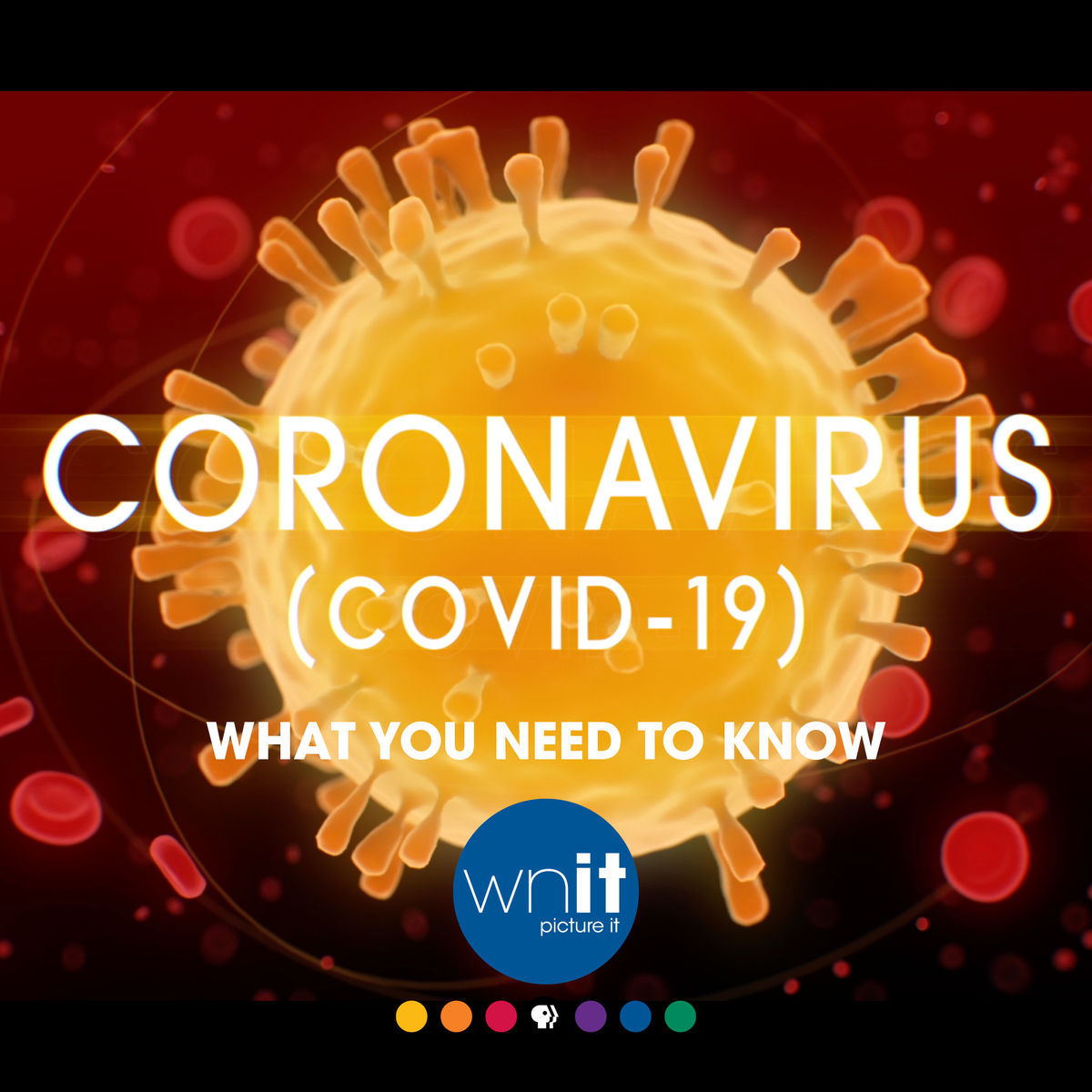 Coronavirus (COVID-19): What You Need To Know logo